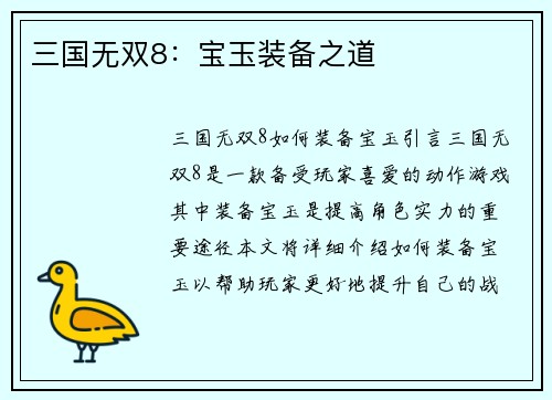 三国无双8：宝玉装备之道